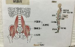 キングオブインナーマッスル