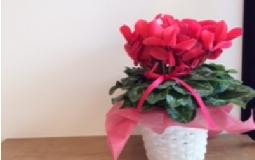 ギックリ腰！？