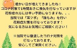 花粉の季節ですね！